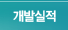 개발실적